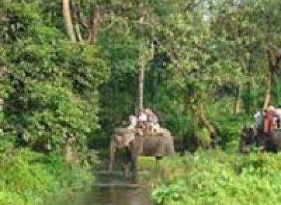 Dooars / Lataguri / Gorumara Package Tour 02 Nights 03 Days
