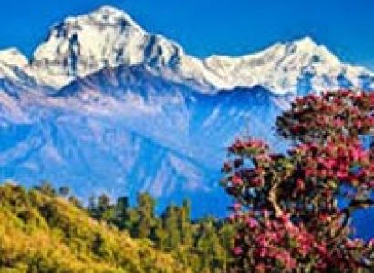 The Best of Nepal Tour