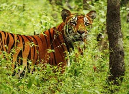 Mesmerizing Nepal Tour