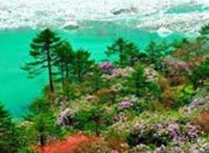 Northeast Honeymoon Package