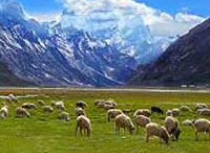 Road Trip & Trekking In Manali 07Nights/08Days Package
