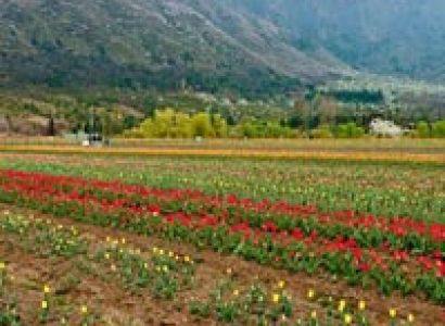 Srinagar-Kargil-Leh-Nubra-Pangong-Leh Tour Package (08 Nights / 09 Days)