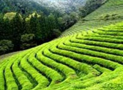 Karnataka Special : 3 Nights / 4 Days Tour