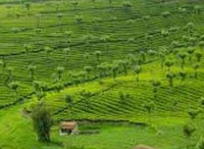 Memorizing Karnataka Tour