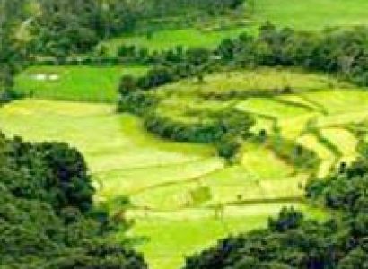 Coorg 5 Days / 4 Nights  Tours