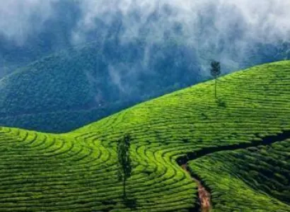 Mesmerizing Munnar, House Boat Cruise Tour