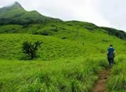 Short Tour of Wayanad