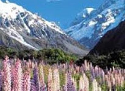 New Zealand South Island Tour