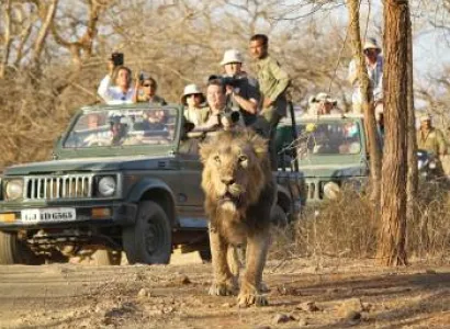 Gir National Park Tour