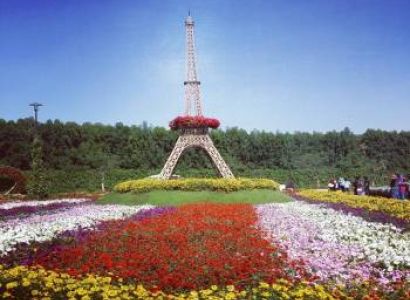 Experience Dubai Tour