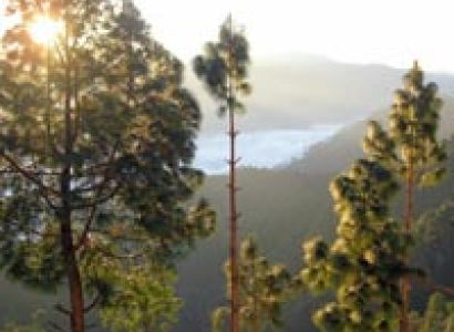 Scenic Lansdowne(02N/03Days) Tour