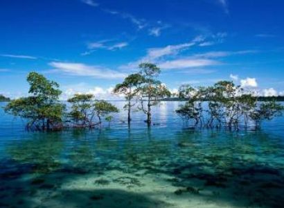 Andaman & Nicobar Islands Tour