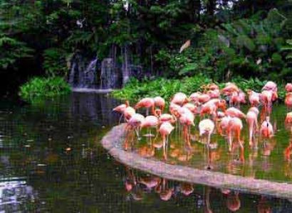 Malaysia | Singapore | Thailand