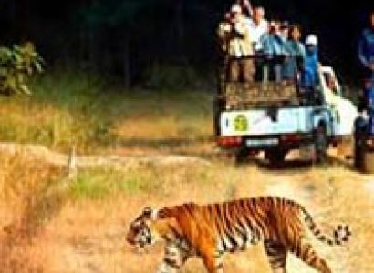 Delhi Jim Corbett Taxi/Cab Tour : 2 Days /1 Night Trip