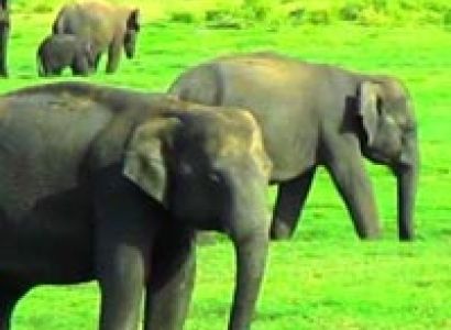 03 Days Sunny Wind (Budgeted for two pax ) Tour