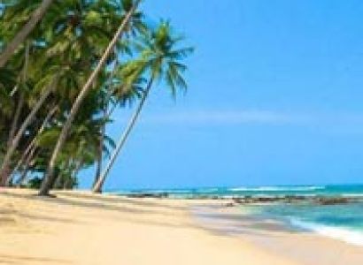 04 Days Holly Beach Blend (Budgeted for two pax) Tour