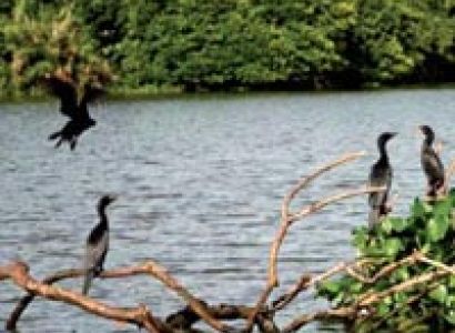 07 Days Bee Fly (Budgeted for two pax ) Tour