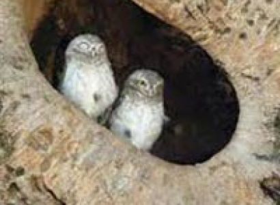 Kanha Jabalpur Tour Package