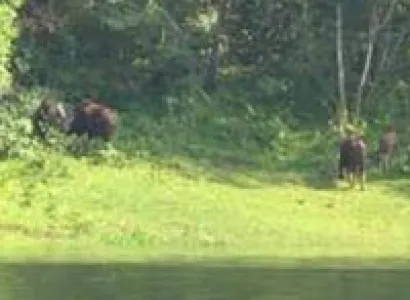 Malaysian Wonders with Genting Tour