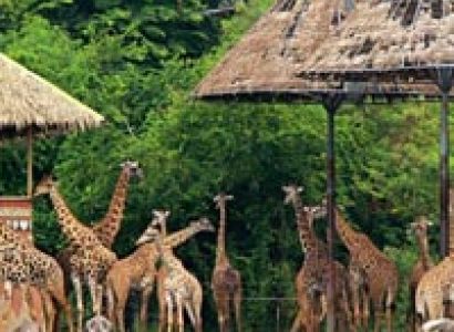 Simply Thailand Tour