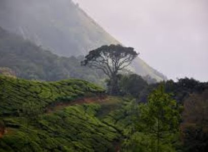 Majestic Kerala Tour