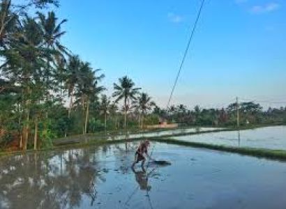 Blissful Bali (06 Days) Tour