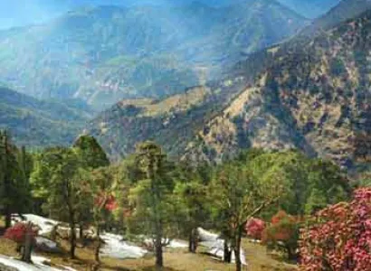 Mountain Magic in Kausani Tour