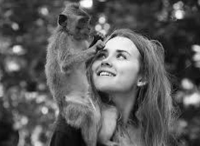 Selling Fast - 3 Nights a Singapore , 3 Nights Bali and Lembogan Tour