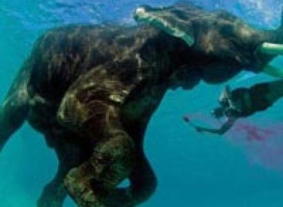 Honeymoon Special Trip – 5 Days 4 Night