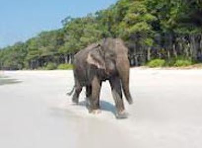 Sweet Island Beaches–Itinerary 5 Days 4 Night