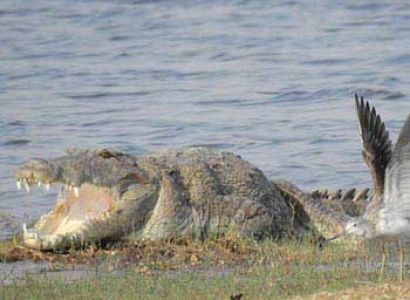 Bera - Rajasthan  Tour