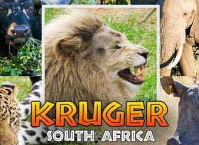 Spectacular South Africa Tour