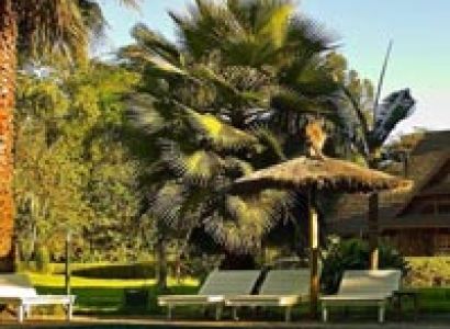 6 Days Classic Safaris ,Lake Manyara ,Serengeti Plains ,Ngorongoro Crater ,Tarangire Tour