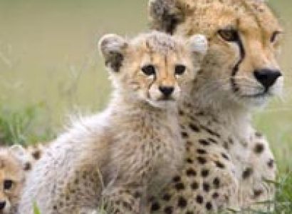 5 Days Mid/Range Camping Safaris Tour