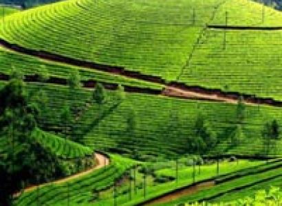 Gems of North East India Package