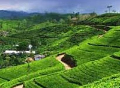 Northeast Honeymoon Package