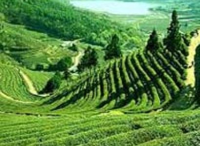 North East Panorama With Pelling Tour