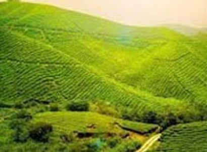 North East Delight with Kalimpong Tour