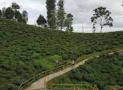 Beautiful Darjeeling Gangtok Tour