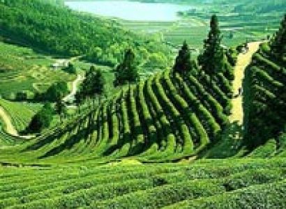 Gangtok And Darjeeling Package