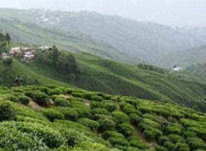 3 Days Of Tour To Darjeeling