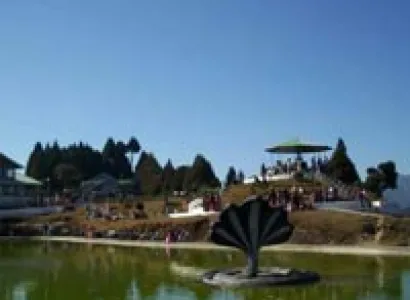 (Rectangular Love-1 Tour