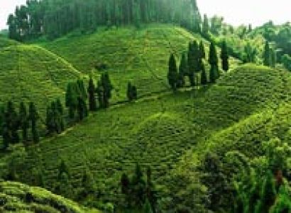 Across Boarder-2 Tour