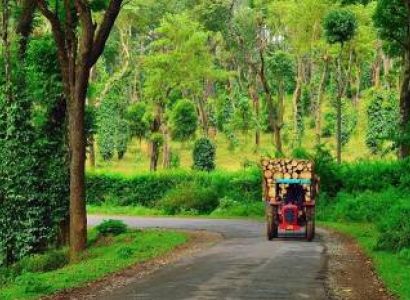 Bangalore - Coorg - Bangalore (02 nights 03 days)