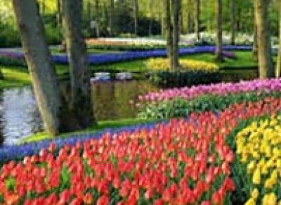 Himachal with Golden Temple Tour