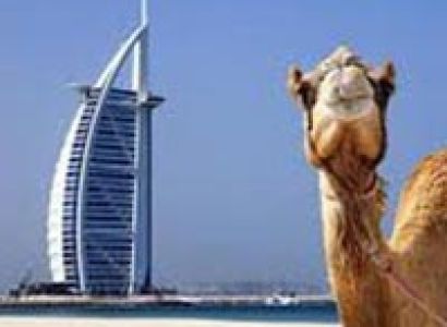 Majestic Dubai with Abu Dhabi Tour
