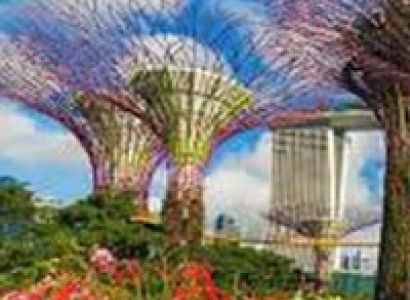 Singapore Delight Package