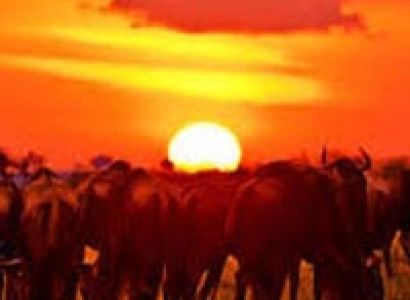 Fourteen Falls Day Trip from Nairobi Tour