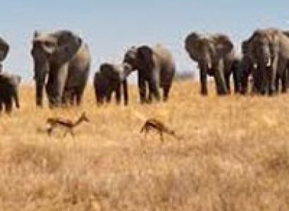 Naivasha Day Trip Package