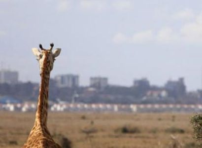 Nairobi National Park, Nairobi Safari Walk and Animal Orphanage Tour